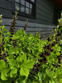 IMG_9023