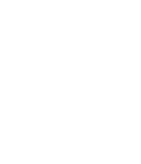 Dance Revolution logo white