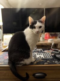 IMG_0931