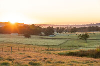 Golden Valley 002