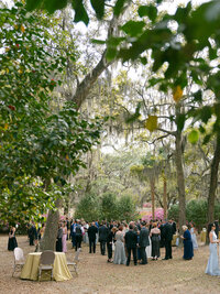 Jordan+Zach+Charleston+Wedding+Sneakpeek-149