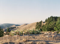 San_Francisco_Wedding_Photographer378322_008