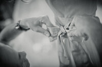 hochzeit-in-genf-124