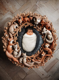 4Karma Studio - A sleeping newborn nestled in an intricately carved fine art wooden prop, captured with an editorial style and true-to-life colors in Los Angeles.