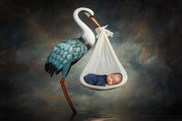 stork