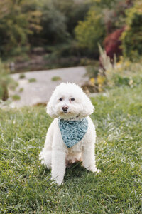 Toronto-family-Photography-Leaside-40