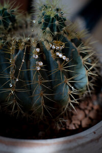 20251005-IMG_0021