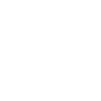 Wedding-Icon-video