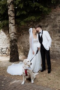 Daven-Casey-Wedding-Photography-Langtons-Hotel-Kilkenny-232