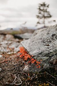 Tromso_Elopement-13