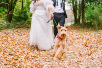 Sophia & Ryan - Detailed Preview - Amative Creative-88