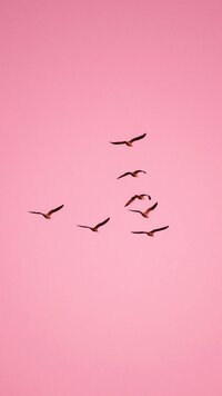 pexels-fatih-turan-63325184-10027612