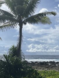 tuvalu 8