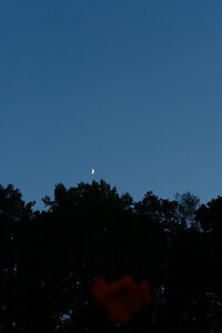 DSCF0188