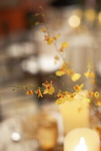 Boston Back Bay Wedding at Mandarin Oriental, Boston. Deborah Zoe Photography. Boston Wedding Photographer.