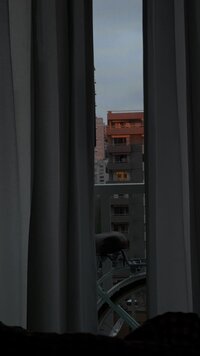 IMG_2439