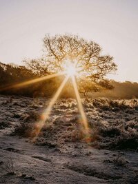 annie-spratt-3PzjEzCGPCE-unsplash (1)