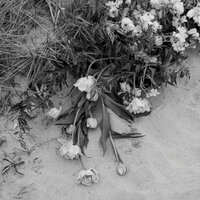 Deborah Zoe is a New England based wedding photographer transforming life's fleeting memories into timeless images you’ll treasure forever. Documenting celebrations in Boston, Cape Cod, Newport and throughout New England.
