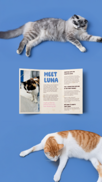 Trifold Stationery Brochure Mockup - reel