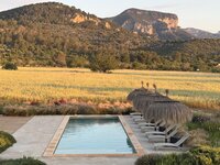 claudia fulga-forty forty living-international retreats5