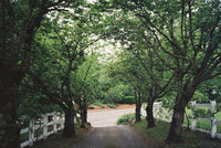 19981_0