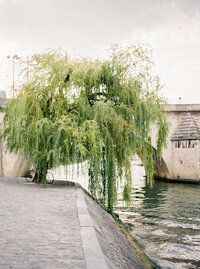paris-photoshoot-23