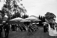adelaide-wedding-photographer-golding-wines-gallery-150