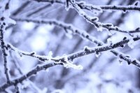 christy-mills-s2-kaMLcJ9E-unsplash