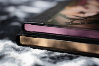 album-gilding-spellbound-boudoir-by-celestin-03