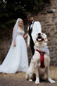 Daven-Casey-Wedding-Photography-Langtons-Hotel-Kilkenny-246