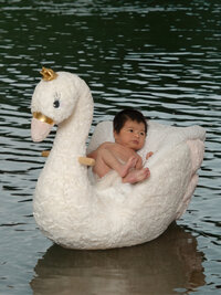 4Karma Studio - A dreamlike fine art portrait of a newborn baby riding a stuffed swan on a gentle pond, featuring whimsical digital artistry and a true-to-life editorial finish.