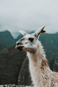 across-south-america-luxury-travel-19