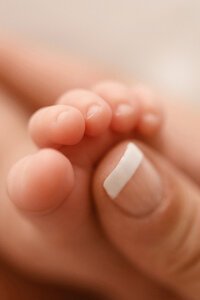 Portland Newborn Photographer