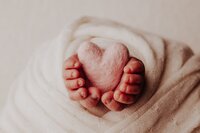 #alittlegoose #sacramentophotographer #folsomnewbornphotographer #rocklinnewbornphotographer #sacramentonewbornphotographer #newbornphotography#elkgrovenewbornphotographer #elkgrovebaby #newbornboy #newborngirl #newborn #newbornsession #newbornphotographerelkgrove #newbornphotographersacramento #サクラメント