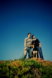 pet photographer, dog photoshoot, dog photography, dog photographer, cat photography, pet photography near me, family photo with dog, pet portraits, cat photographer, cat photoshoot, dog photographer near me, pet photographer near me, a dog photoshoot, pet photography, dog pictures, pictures of puppys, cute dog pictures, dog photo, sacramento pet photographer, san francisco pet photographer