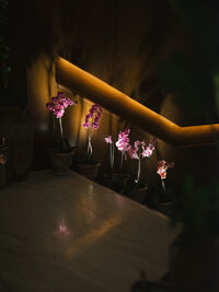 bj_wp-adv0091