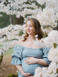 Pregnant mom looking in the distance standing in cherry blossom trees in Seattle UW Arboretum