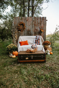 gravel-and-grace-barnwood-backdrop-fall-vignette.jpg