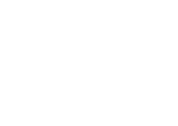 Business-Chicks-Logo-White-scaled