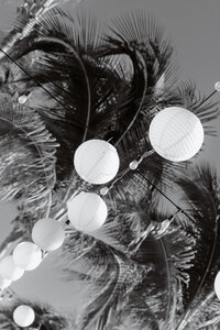 Cabo Wedding