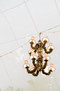 The rustic chandelier of a private estate in Hudson Valley