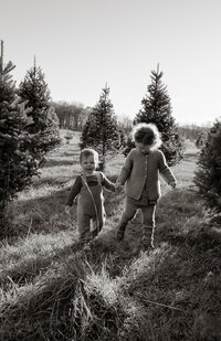 Black and white photo of siblings holding hands and walking through a Christmas tree farm during a seasonal mini photography session in Maine