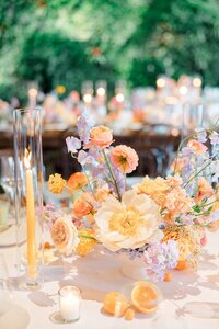 mansion-at-natirar-nj-wedding-photographer-summer_0093