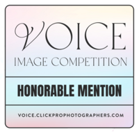 Honorable Mention Photo for the 2023 Voice Image Competition