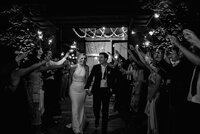 adelaide-wedding-photographer-golding-wines-gallery-142