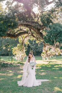 Bride under the oak trees