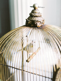 delicate white bird inside a gold cage surrounded by soft romantic floral styling with a French-inspired aesthetic