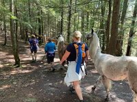 llama trekking