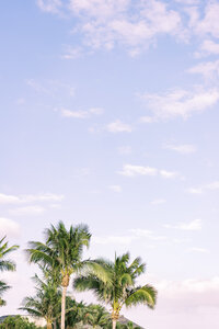 JW Marriott Marco Island Wedding | Marco Island Wedding Photographer-157
