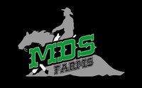 mds-logo